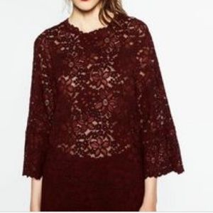 🌈🔥NWT😍❤ Zara Burgundy lace top